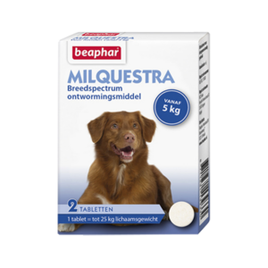 Beaphar Milquestra Hond