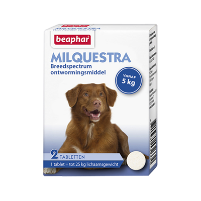 Beaphar Milquestra Hond