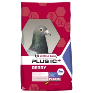 Versele-Laga I.C.+ Gerry Plus Ic