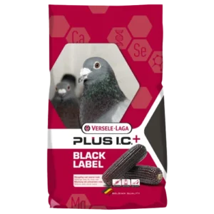 Versele-Laga I.C.+ Mutine Black Label