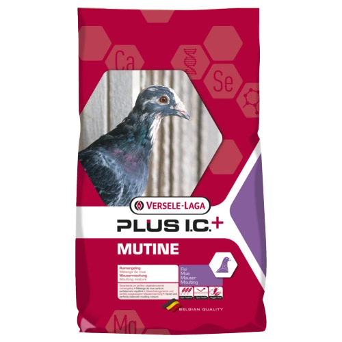 Versele-Laga I.C.+ Mutine Plus Ic