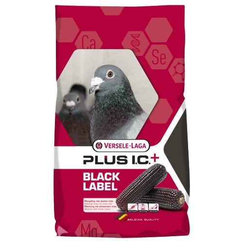 Versele-Laga I.C.+ Start Black Label
