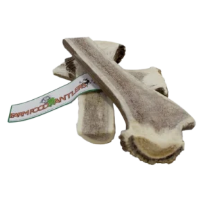 FarmFood Antlers easy hertengewei 121-170 g Hert XL