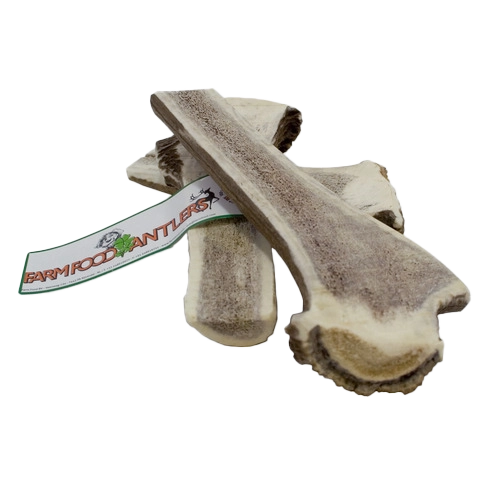 FarmFood Antlers easy hertengewei 121-170 g Hert XL