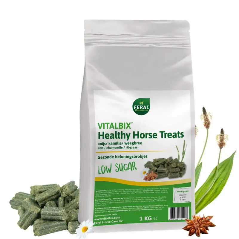 Vitalbix Healty Horse Treats